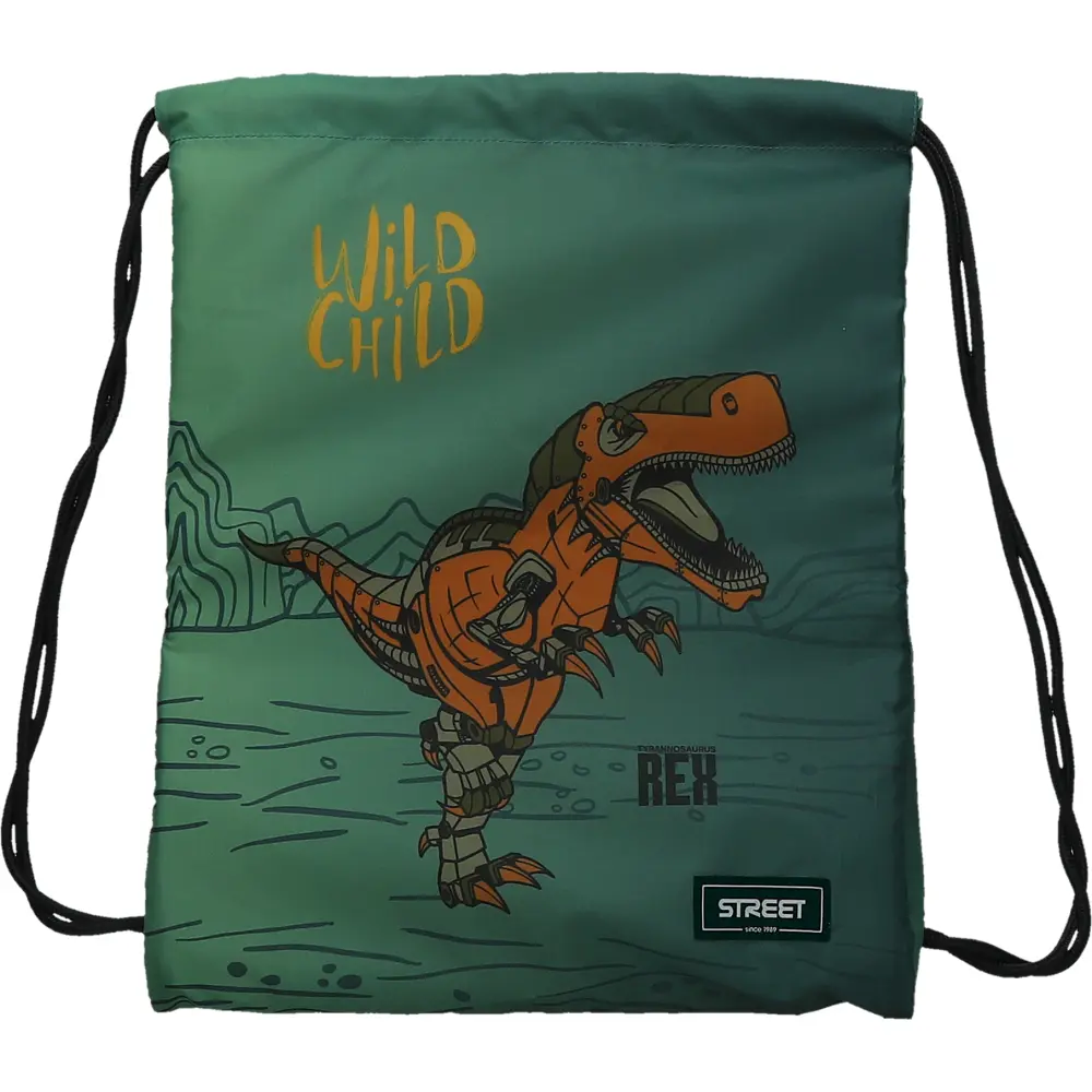 Set 3/1 Dinosaur