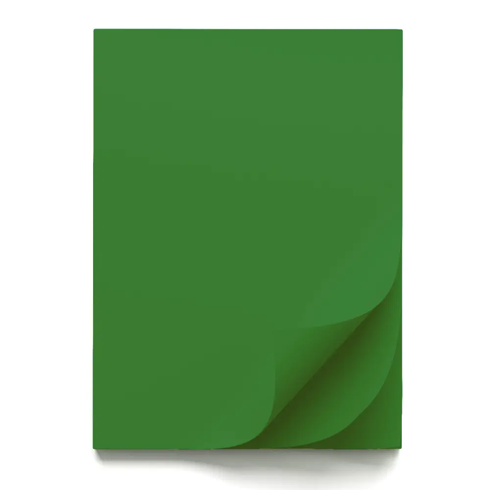 Papir šeleshamer B1 forest green