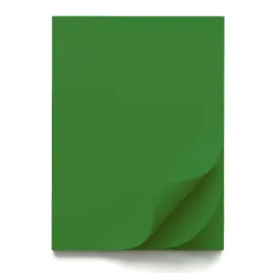 Papir šeleshamer B1 forest green