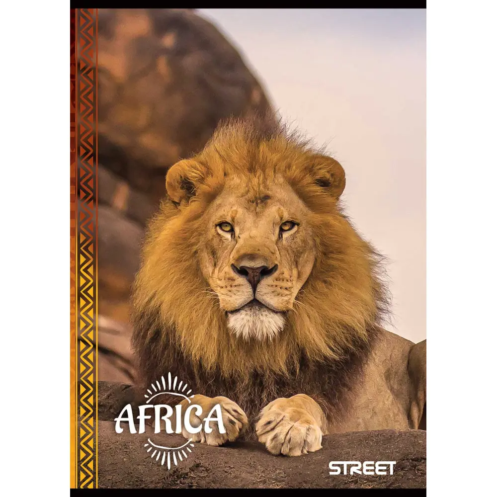Zvezek Street Africa A4 mali karo