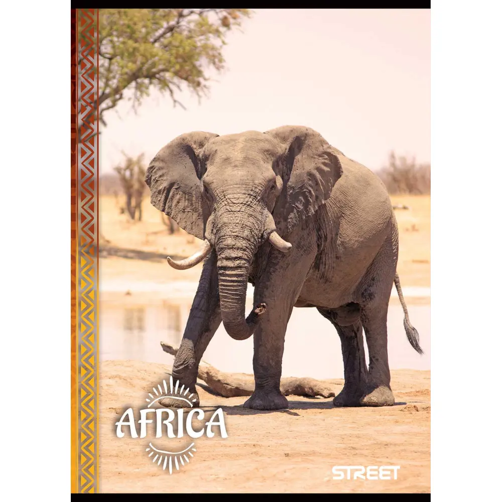 Zvezek Street Africa A4 mali karo