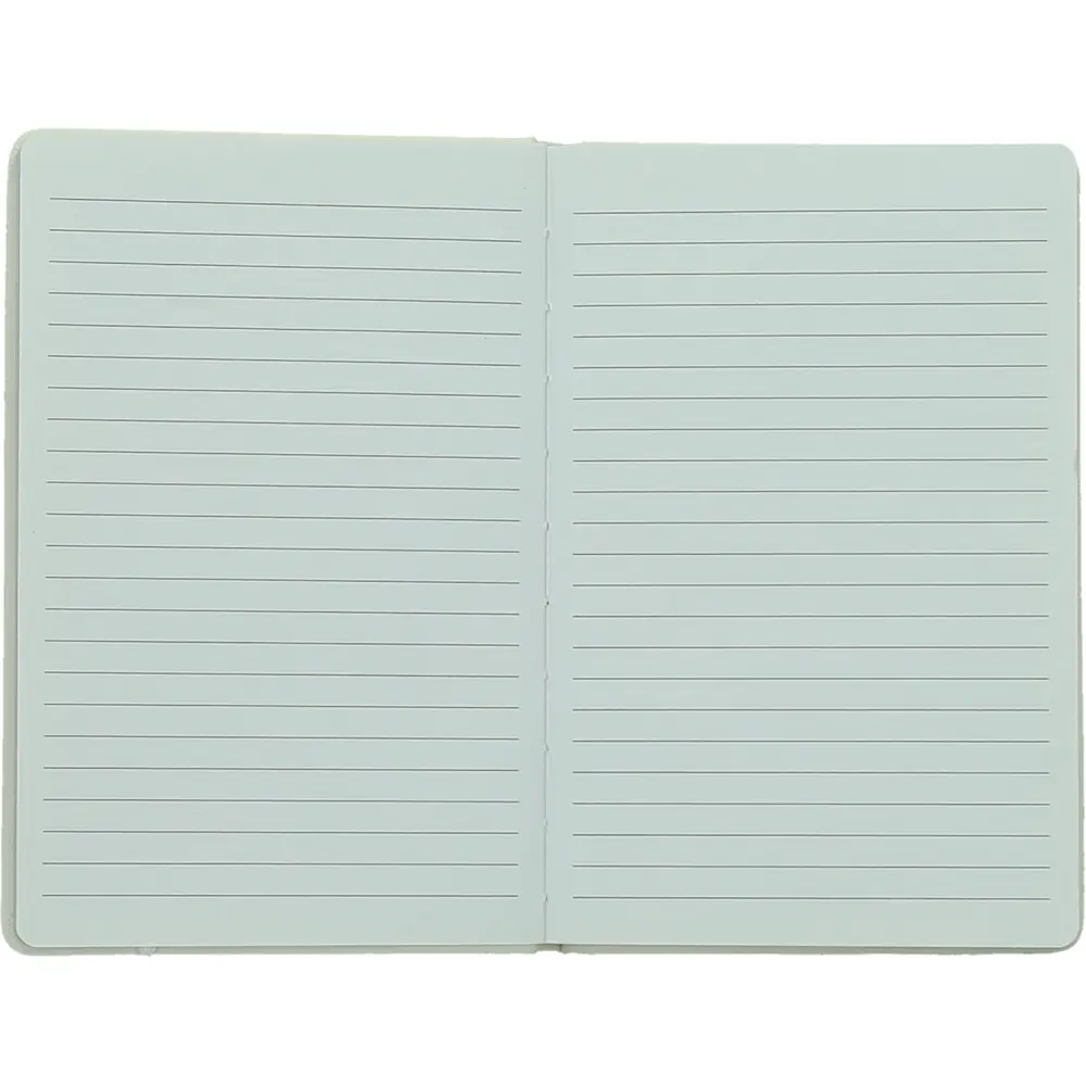 Notes Spectrum A6