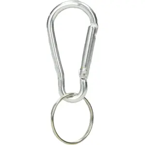 Karabin Hook